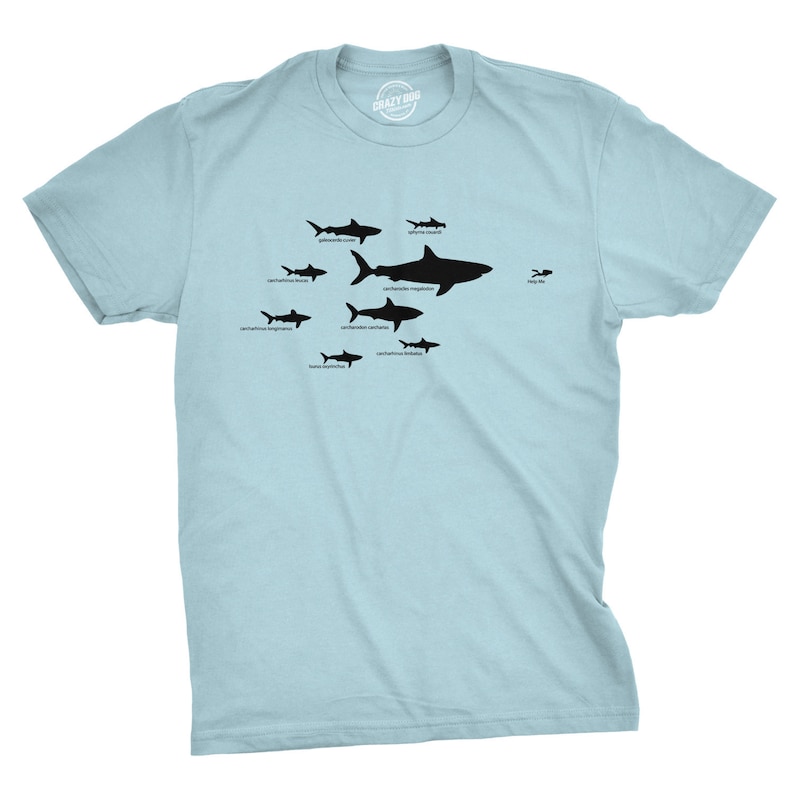 Shark Types Shirt Shark Tshirts Shark Hierarchy T Shirt Etsy