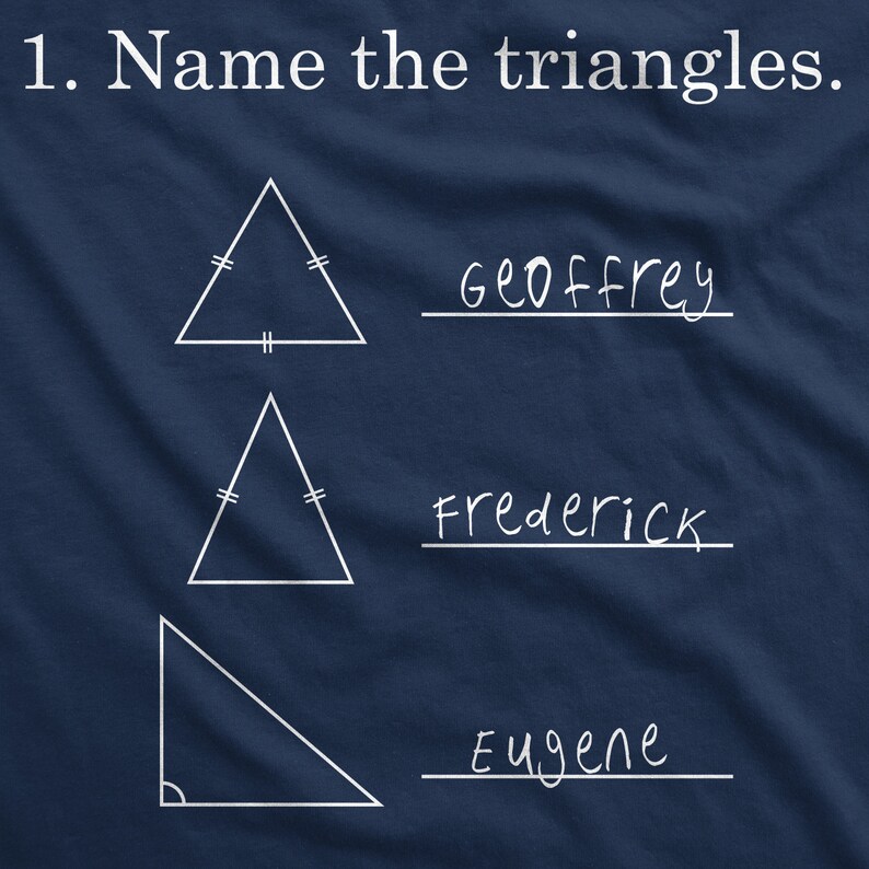 Funny Shirt Kids, Humorous Youth Shirt, Name The Triangles Shirt, Gift For Kids, Math T Shirt, Back To School Shirt Boy image 2
