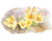 Yellow Crocuses Watercolor Painting, Crocus Painting, Giclée Print, Spring Flowers, Floral Print, Garden, Yellow Gold Brown Crocus