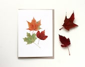 Maple Leaves Note Card, Watercolor Painting, Set of 5 Note Cards, Leaf Art, Autumn Leaves, Blank Art Card, Fall Colors, Red, Orange, Green