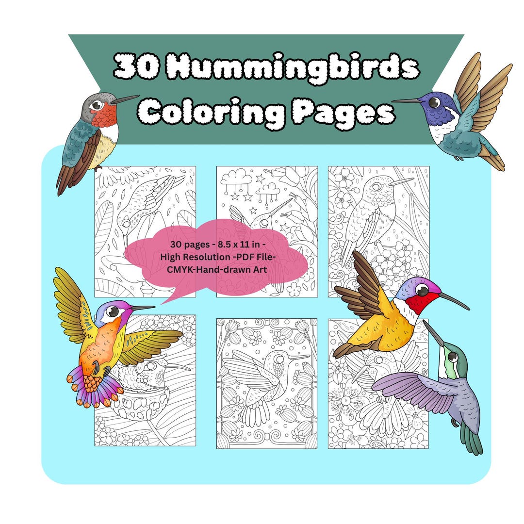 Hummingbirds - 30 Illustrations- Printable - Ready to Download - Etsy