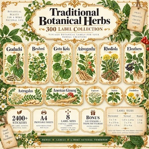 Może przedstawiać: Kolekcja 300 etykiet na zioła w stylu vintage z ilustracjami roślin takich jak Guduchi, Brahmi, Gotu Kola, Ashwagandha, Rhodiola, Eleuthero, Astragalus, żeń-szeń amerykański, krwawnik, pokrzywa i mniszek lekarski wraz z tekstem.