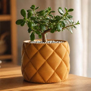 May include: A small green jade plant potted in a mustard yellow planter with a quilted diamond pattern. The surface of the soil is covered with small white pebbles. The plant has thick, rounded, glossy green leaves and a sturdy brown stem.