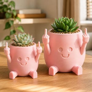 Middle Finger Planter | Funny Plant Pot, Cheeky Desk Decor, Rude Gift, 3D Printed UK