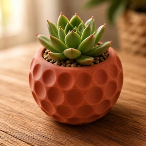 May include: A spherical terracotta-coloured planter with a dimpled, golf-ball-like texture on the exterior. The pot contains a green succulent plant with pointed leaves tipped in reddish-pink, nestled in a bed of small, round, brown soil pebbles.