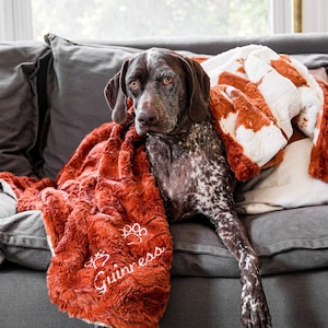 Paw Print Blankets Etsy