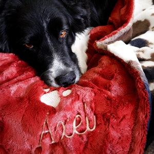 Personalized Mud Pie Pony dog kitty Blanket, Red Dog Blanket, Paw Puppy Blanket, Personalized Dog Blanket, Personalized Cat