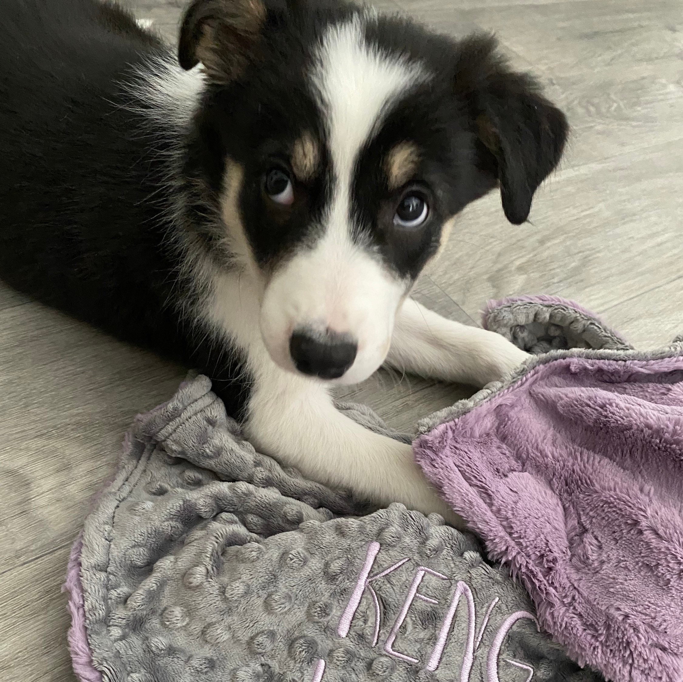 Elderberry Lavender Personalized Paw Print Blanket, Paw Dog Blanket, Puppy Blanket