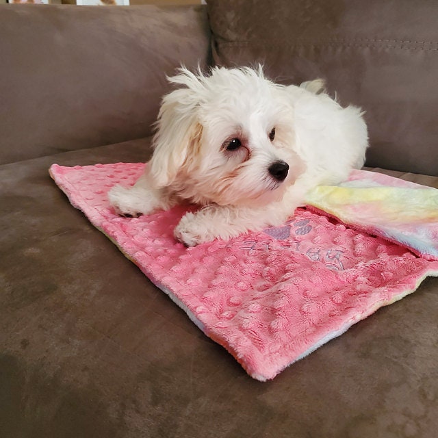 Pink XOXO Pet Blanket for Sale by mollsdesignss