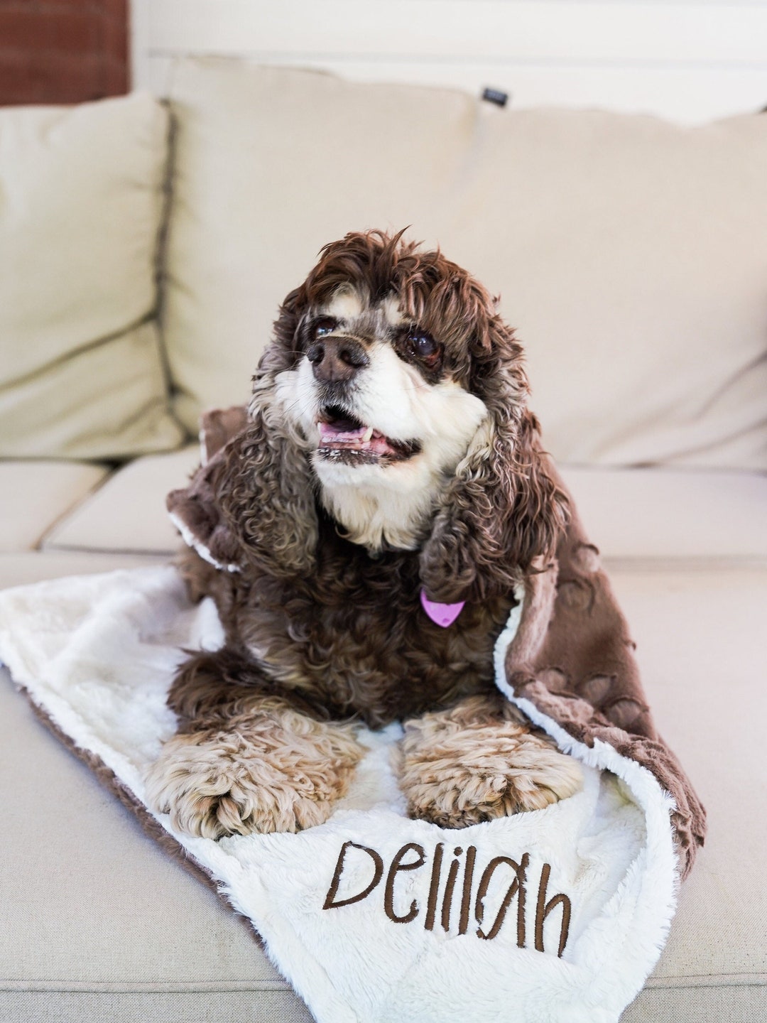 Personalized Truffle Paw and You Choose Minky Back Paw Print Etsy