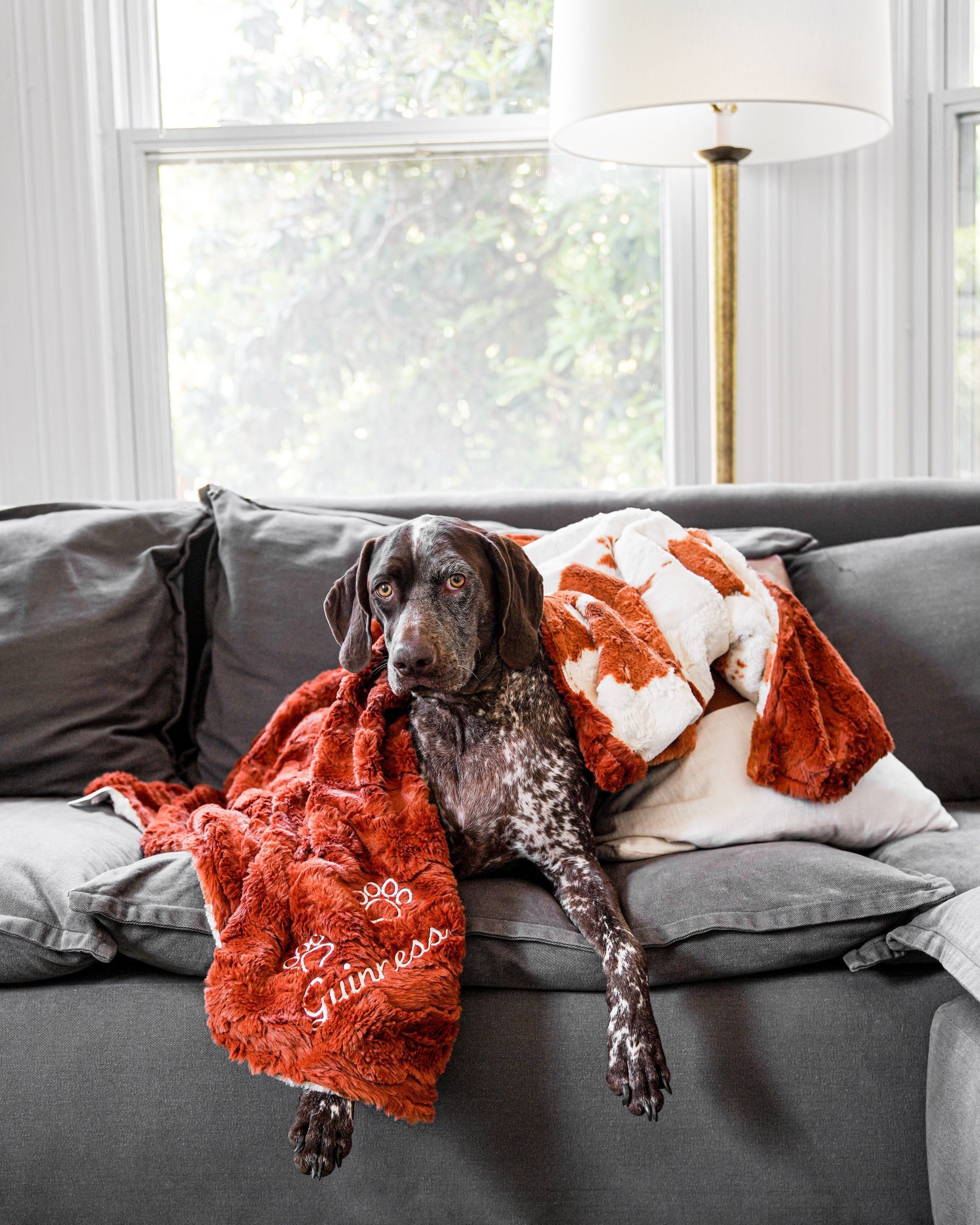 Paw Print Blanket Etsy Canada