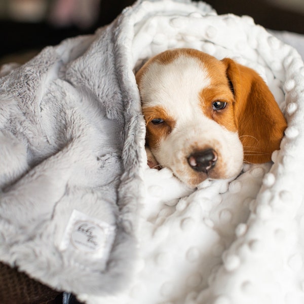 Puppy Blanket Etsy