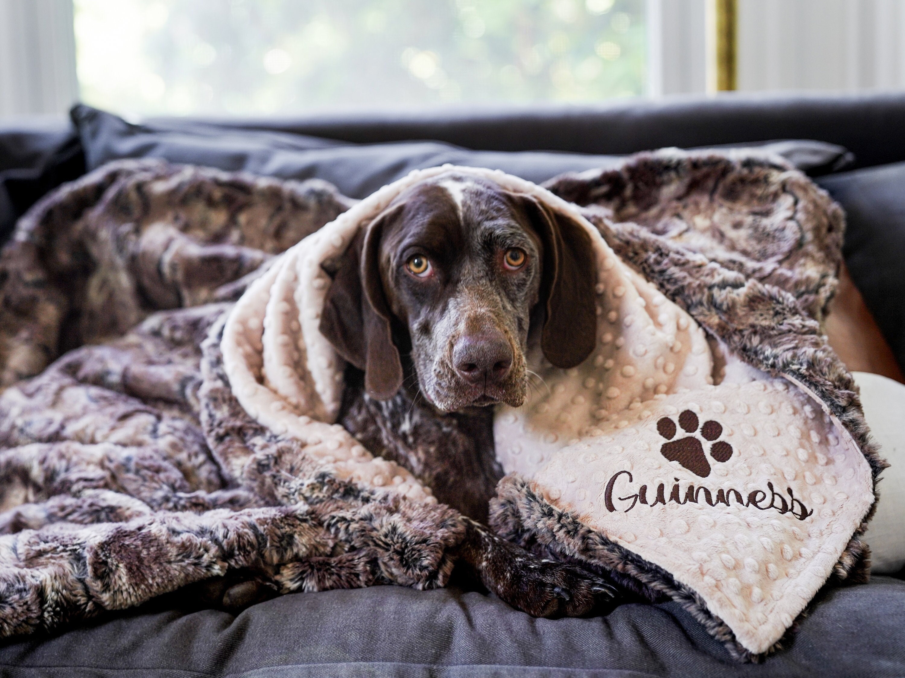 Large Dog Blanket Etsy