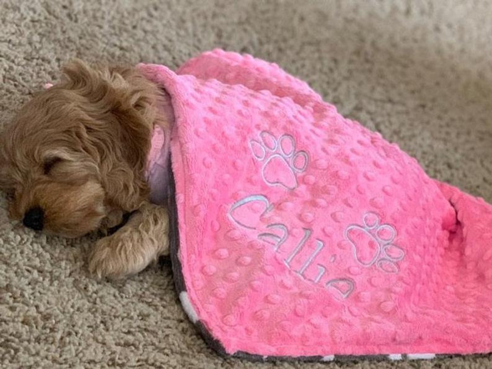 Personalized Paw Print Blanket Gray Paw Print Dog Blanket - Etsy