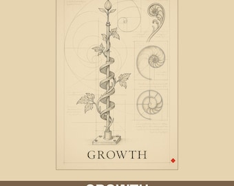 Grabado del Códice de Arquímedes del Renacimiento, estilo Da Vinci, arte del crecimiento (descarga digital)