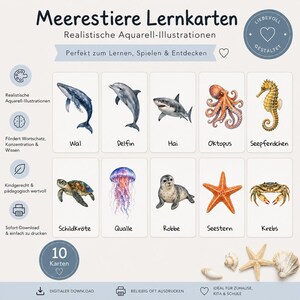 Może przedstawiać: Zestaw dziesięciu kart edukacyjnych z realistycznymi ilustracjami akwarelowymi stworzeń morskich, w tym wieloryba, delfina, rekina, ośmiornicy, konika morskiego, żółwia, meduzy, foki, rozgwiazdy i kraba, z niemieckimi etykietami tekstowymi.