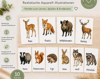 Forest Animals Flashcards | 10 Animals Watercolor | Montessori Learning Material | Kindergarten Preschool | Native Forest Animals | Digital Download