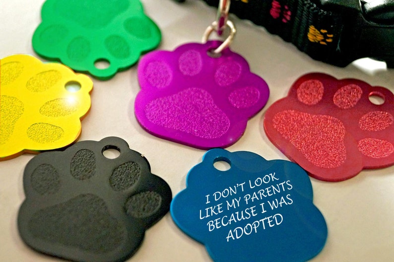 Pet identity tags pet name tags pet accessories Etsy