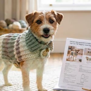 May include: A Jack Russell Terrier wearing a handmade crochet dog sweater in shades of green, gray, and white. The dog is standing next to a pattern for a crochet dog sweater. The sweater has a collar and a decorative button.