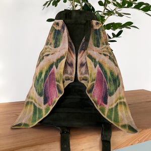Oleander Hawk-Moth Ryggsäck