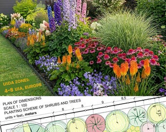 Longest-Blooming Plants Mixed Border: Preplanned Landscape Design - DIY Premade Garden PDF - Printable Cottage Garden Planting Plan