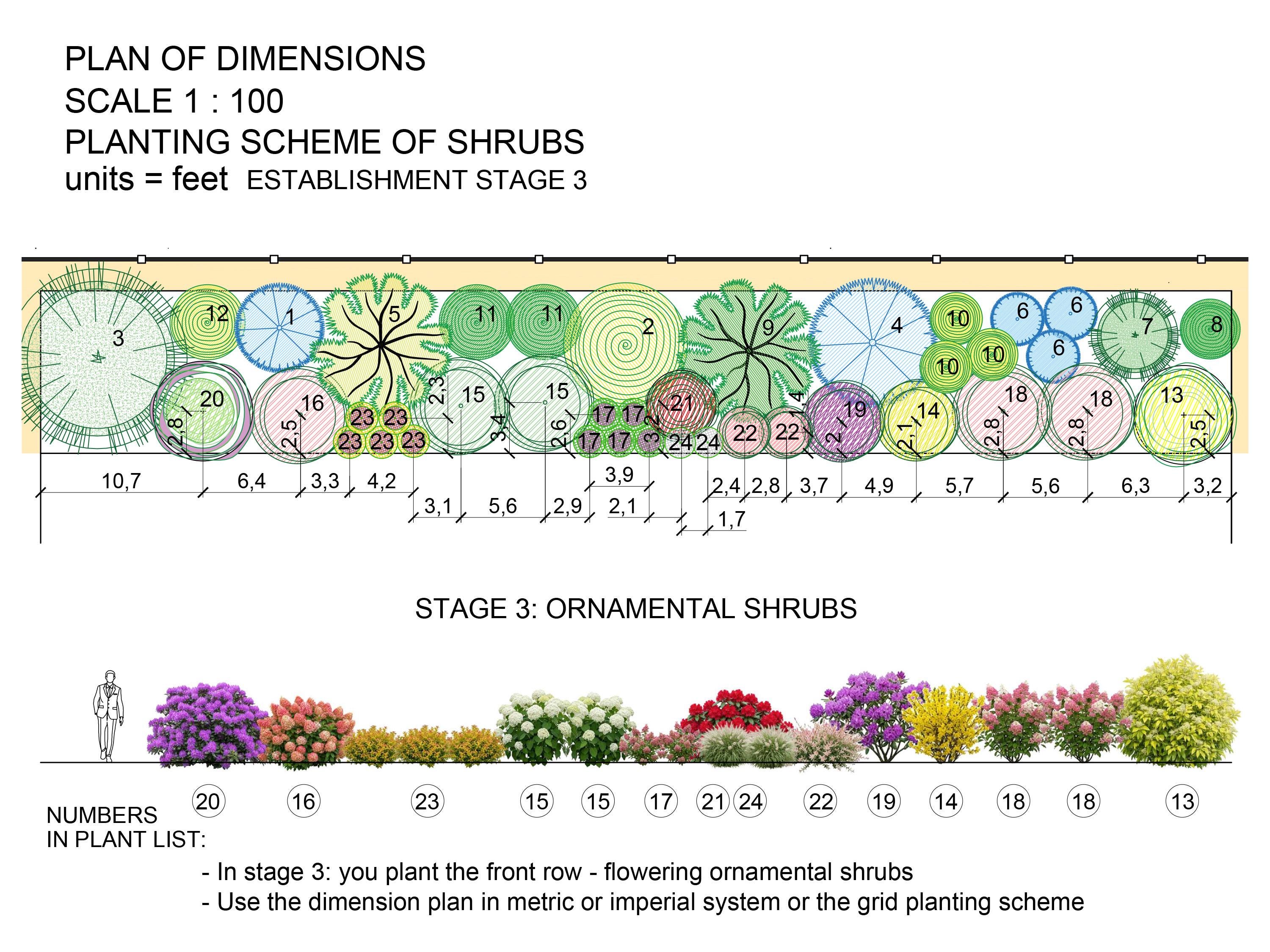 Hedge Rendering Plan Evergreen Hedge Preplanned Design Plan: Premade Plan PDF - Landscape ...