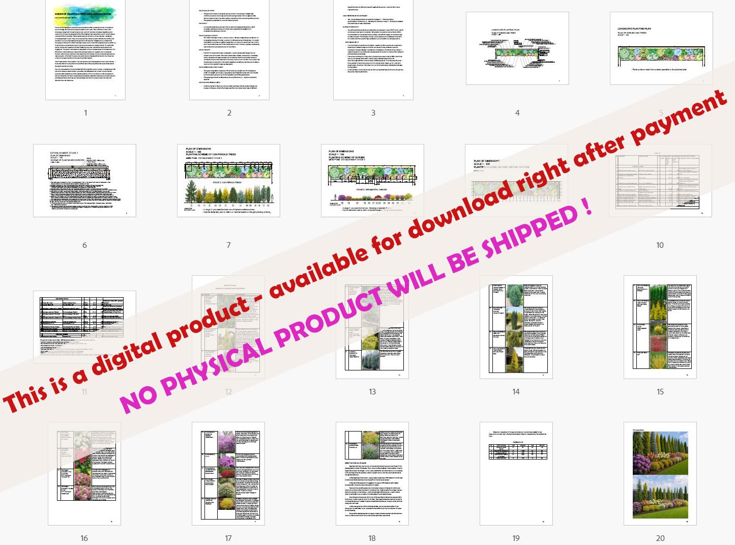 Hedge Rendering Plan Evergreen Hedge Preplanned Design Plan: Premade Plan PDF - Landscape ...