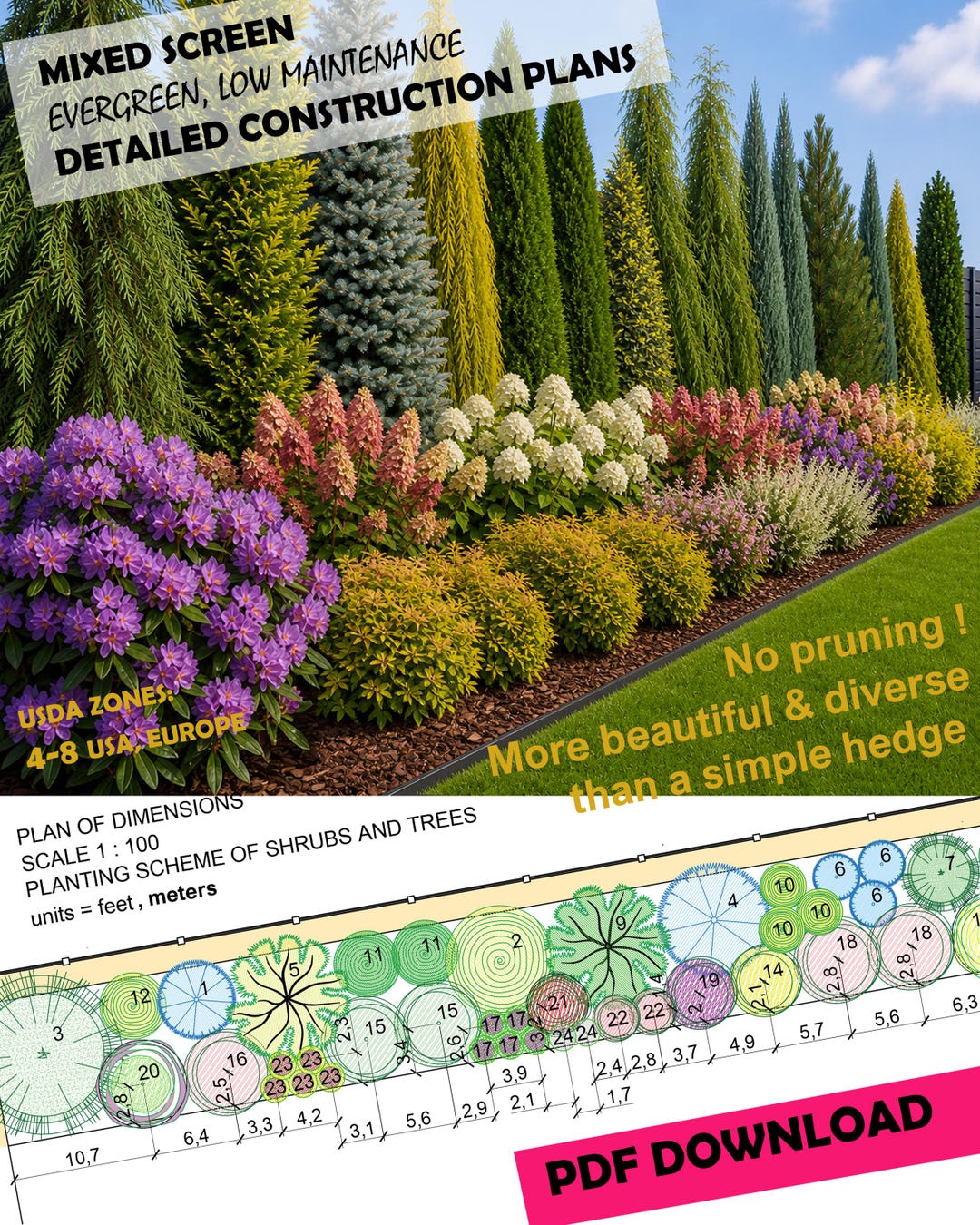 Preplanned Evergreen Hedge Preplanned Design Plan: Premade Plan PDF - Landscape ...