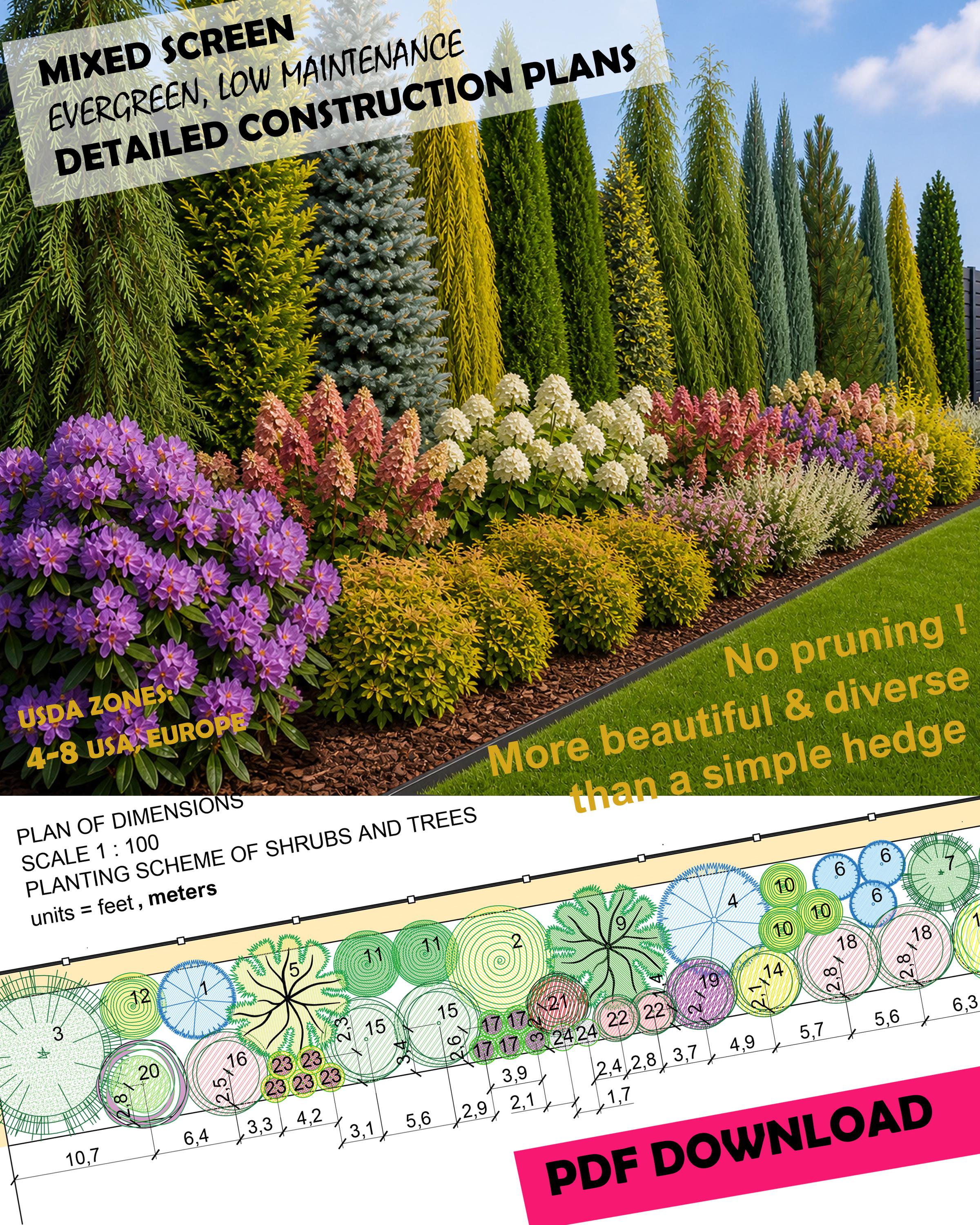 Hedge Rendering Plan Evergreen Hedge Preplanned Design Plan: Premade Plan PDF - Landscape ...