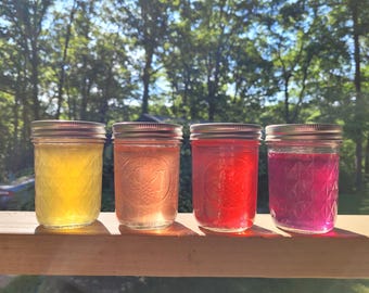 Hand-Foraged Wildflower Jelly – Ohio Homegrown, Shelf-Stable (8 oz Jar)