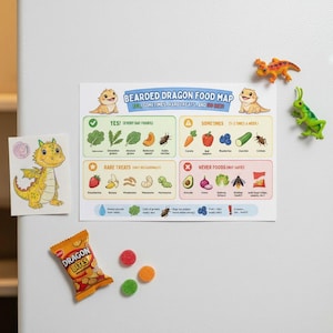 May include: A refrigerator magnet featuring a "Bearded Dragon Food Map" with illustrations of safe and unsafe foods for bearded dragons. Also included are a sticker of a cartoon dragon, a bag of "Dragon Bites" snacks, and colorful magnets.