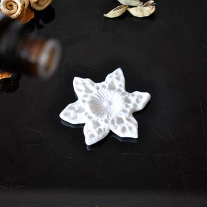 May include: A white, star-shaped essential oil diffuser with a textured surface. A small brown bottle is pouring oil onto the diffuser. Dried botanicals are scattered around the diffuser on a black surface.