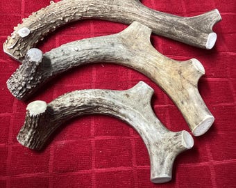 ¡Masticable de asta de ciervo para perros, 9,99 cada uno!