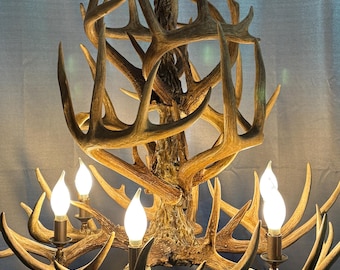 Fathers Day Special, Whitetail Antler Chandelier,  width 28”, height 25”, 6-Lights, Real Antlers
