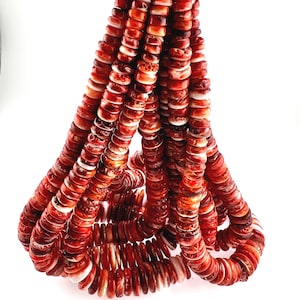 Natural Red/Orange Spiny Oyster Shell Graduated Rondelle Disc 8-18mm 1str/5str