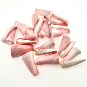 Naturlig drottning conch rosa snäckskal löst stycke Columella-hänge 10 st/20 st/30 st