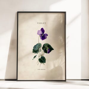 以下が含まれることがあります： 額装された、スミレの花の詳細なイラストが特徴の植物画。 このアートワークは、緑の葉と「VIOLET」と「viola odorata」のテキストが付いた鮮やかな紫色のスミレの花を示しています。 プリントはニュートラルな背景に設定されています。