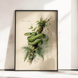 Op de afbeelding: Een ingelijste kunstprint in botanische stijl met een levendige groene Morelia viridis slang die om een bemoste boomtak is gekruld. De illustratie bevat gedetailleerde groene bladeren en varens tegen een crèmekleurige achtergrond met de tekst Morelia viridis.