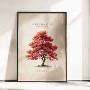 May include: A framed wall art print featuring a vibrant red Japanese maple tree centered on a cream background. The text ACER PALMATUM (JAPANESE MAPLE) appears above the tree, and the Japanese text イロハモミジ is printed below the tree.