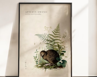Vintage Kiwi Bird Print, Rustic New Zealand Wall Art, Aotearoa Poster, Farmhouse Kitchen Decor