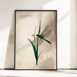 May include: A framed wall art print featuring a detailed illustration of a dragonfly perched on a green plant stem. The text ANISOPTERA (DRAGONFLY) appears at the top, with Japanese characters and a small red circular stamp at the bottom left.