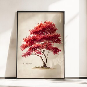 May include: A framed wall art print featuring a detailed illustration of a Japanese maple tree with vibrant red leaves against a light beige background. The text JAPANESE MAPLE is printed in small black capital letters near the base of the tree.
