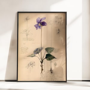 May include: A framed botanical print on a beige background featuring a central purple violet flower with green leaves and visible roots, surrounded by detailed black ink sketches of the plant's anatomy and handwritten notes.
