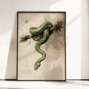 Emerald Tree Boa Wall Art, Vintage Botanical Snake Print, Green Serpent Poster