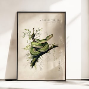 Puede incluir: Una lámina de arte mural vertical enmarcada con una ilustración detallada de una pitón verde, Morelia viridis, enroscada en una rama cubierta de musgo con helechos. El texto dice Morelia viridis, Green Tree Python y caracteres japoneses.