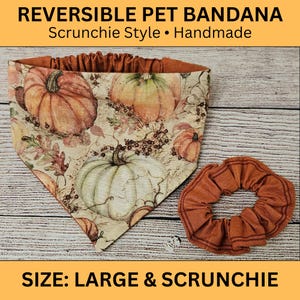 May include: A reversible pet bandana and a matching scrunchie. The bandana features a cream-colored fabric with a print of orange and green pumpkins, autumn leaves, and berries. The reverse side and the scrunchie are a solid burnt orange fabric.