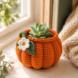 May include: A round, orange crocheted pumpkin-shaped planter containing a green succulent plant. The exterior features a decorative white crocheted flower with a yellow center, a green crocheted leaf, and a small green crocheted vine curl.