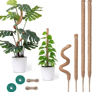 May include: A set of brown coir-wrapped plant support poles including one flexible spiral pole and three straight poles, two green plant ties, and two pieces of twine. Two potted green plants are shown with poles inserted for support.