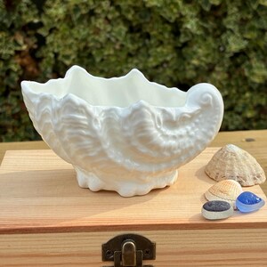 May include: A white ceramic bowl shaped like a large clam shell with a textured, ridged exterior. The bowl is positioned on a light-coloured wooden box, accompanied by three small, natural seashells and a smooth blue piece of sea glass nearby.