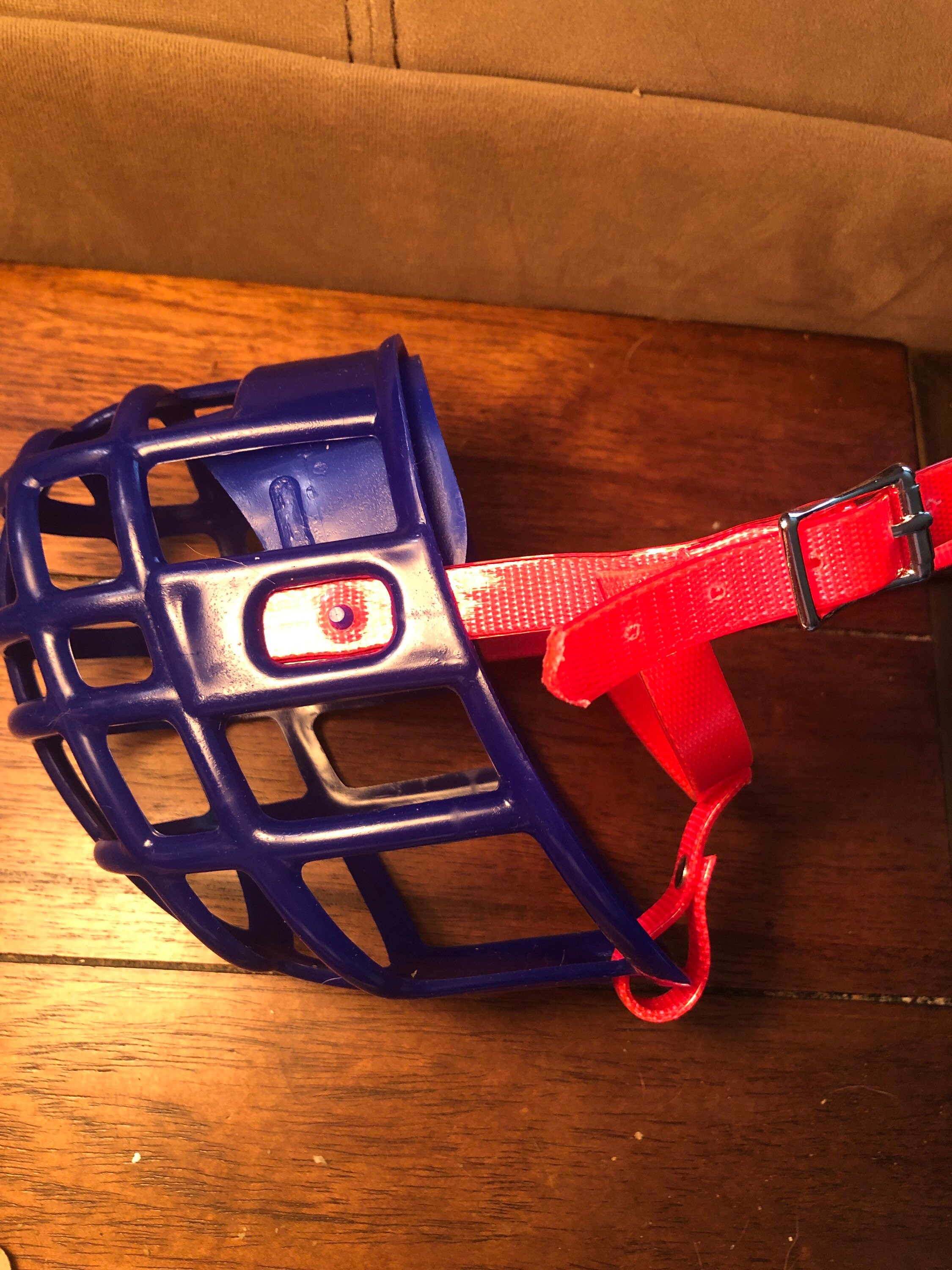 Greyhound Kennel Muzzle Etsy